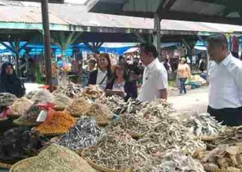 Pemkab Pakpak Bharat Beserta Kajaranya Laksanakan Pemantauan Harga dan Stok Barang di Pasar