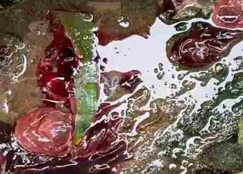 Gumpalan Daging Diduga Janin Ditemukan di Saluran Toilet Kampus FKIP UNA Minta Polisi Segera Mengusutnya