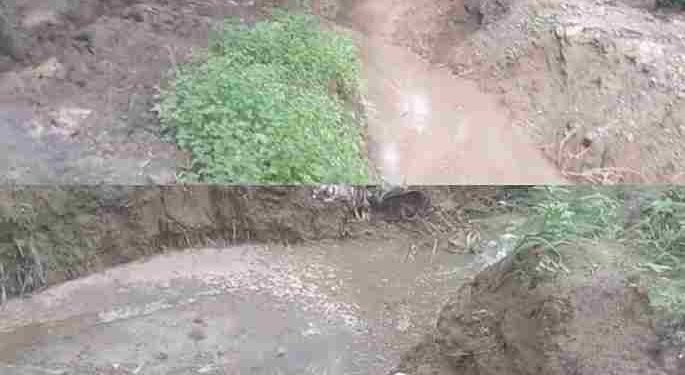 Limbah Cair B3 PKS PT Naga Bulan Meresahkan Warga Akibatkan Pencemaran Tanah, Tanaman dan Berdampak Pada Kesehatan