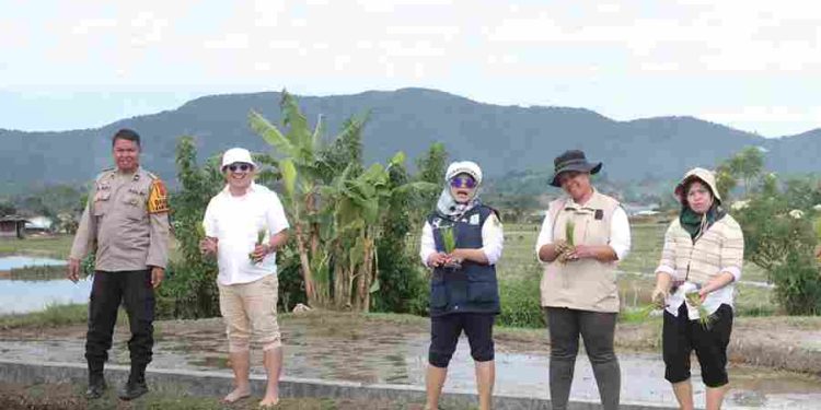 Dukung Swasembada Pangan, Dinas Pertanian Lakukan Tanam Padi Bersama di Daerah Irigasi Sikaleut