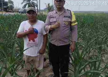 Polsek Serbelawan Lakukan Monitoring Lahan Pertanian Ketahanan Pangan Tanaman Jagung