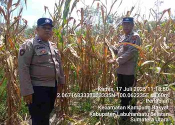Ketulusan Dalam Menjaga Ketahanan Pangan, Polsek Bangun Hadir Menyatu Dengan Rakyat