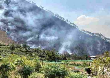 Pemkab Dairi Respon Cepat Kebakaran Lahan Paropo, 1 Unit Damkar Stanby di Lokasi Permukiman Warga