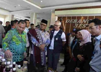 Lakukan Revalidasi, Tim Assesor dari Unesco Tiba di Geopark Kaldera Toba Geosite Silahisabungan