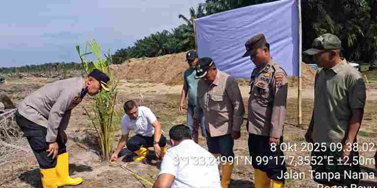 Dukung Ketahanan Pangan Polsek Tanah Jawa Tanam 50 Hektare Jagung di Lahan PTPN IV, Kebun Dolok Sinumbah