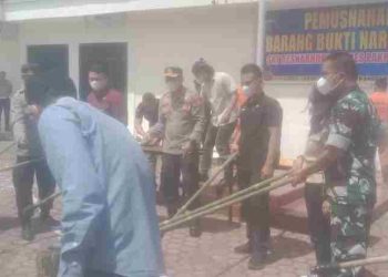 Selamatkan Warga Masyarakat Sat Narkoba Polres Pakpak Bharat Musnahkan Barang Bukti Narkotika