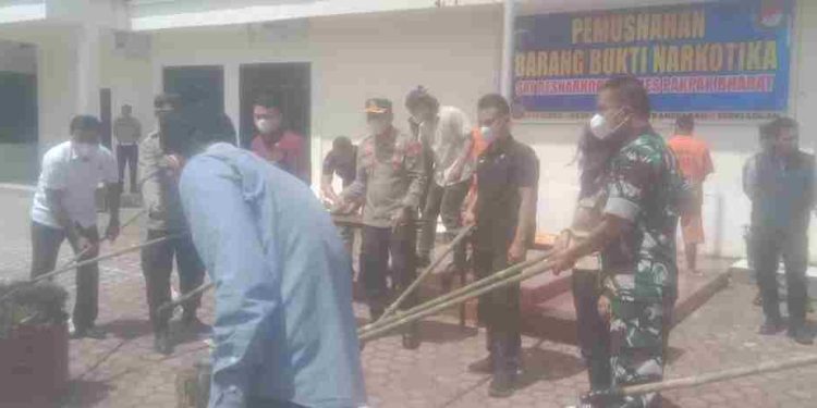 Selamatkan Warga Masyarakat Sat Narkoba Polres Pakpak Bharat Musnahkan Barang Bukti Narkotika