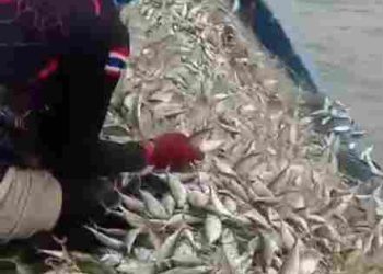 Pelindo Regional 1 Bawa Harapan Baru bagi Nelayan Batu Bara