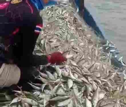 Pelindo Regional 1 Bawa Harapan Baru bagi Nelayan Batu Bara