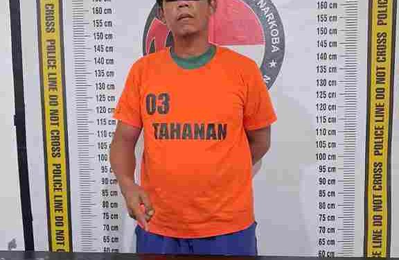 Timbul Halasan Ambarita Dibekuk Sat Narkoba Polres Simalungun di Gubuk Desa Maria Jambi Miliki Sabu 2,69 Gram