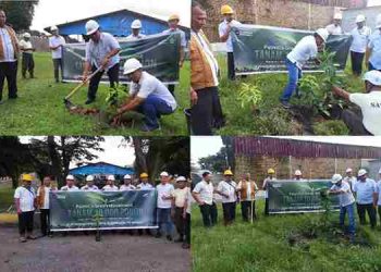 PTP Nusantara IV Regional I Unit PKS Sei Mangkei Tanam Pohon Jenis Buah Buahan